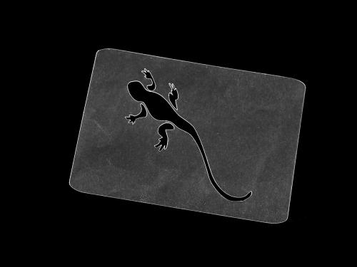 Plastová šablona k malování na textil 6,5x9 cm, barva 5 transparent ještěrka