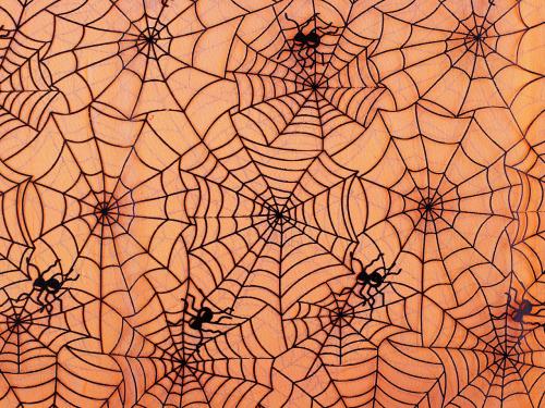 Prima-obchod Organza pavučina, barva 2 oranžová