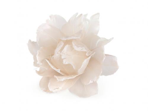 Růže z peří Ø10 cm s klipem, barva 2 krémová nejsvět.