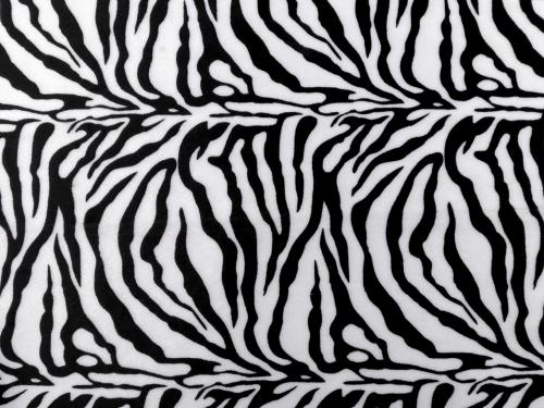 Imitace zvířecí kůže zebra, barva bílá černá