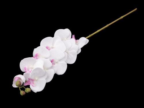 Umělá orchidej, barva 2 bílá růžová
