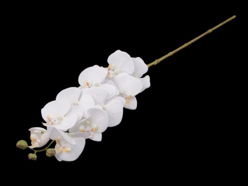 Umělá orchidej, barva 1 bílá